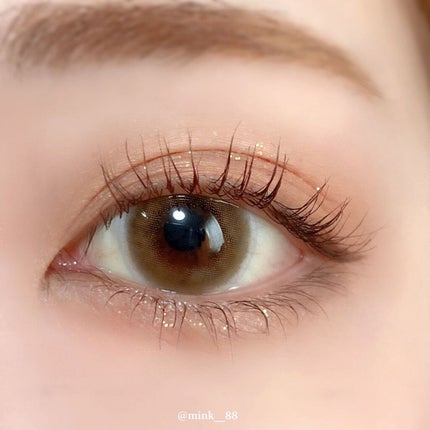 ReVIA 1day/ReVIA/ワンデー(1DAY)カラコンを使ったクチコミ(5枚目)