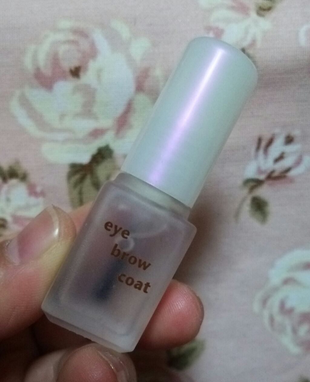 エバビレーナ アイブローコート/DAISO/アイブロウコートを使ったクチコミ（1枚目）