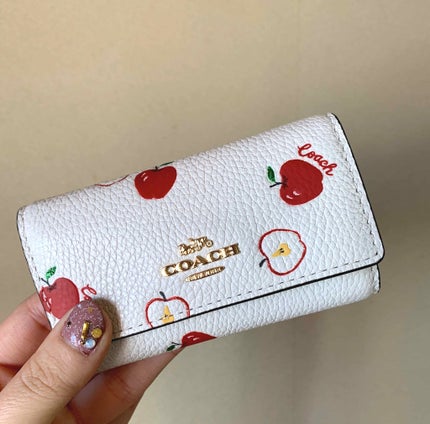 R♥ on LIPS 「❁⃘持ち物紹介❁⃘めちゃめちゃ可愛いこのリンゴ🍎柄のキーケース..」(1枚目)