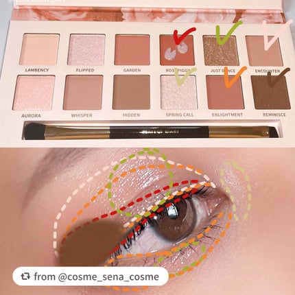 エクスプローラ12色 動物アイシャドウパレット/PERFECT DIARY/アイシャドウパレットを使ったクチコミ(4枚目)