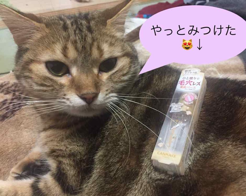 ポアレスクリアプライマー/キャンメイク/化粧下地を使ったクチコミ(1枚目)