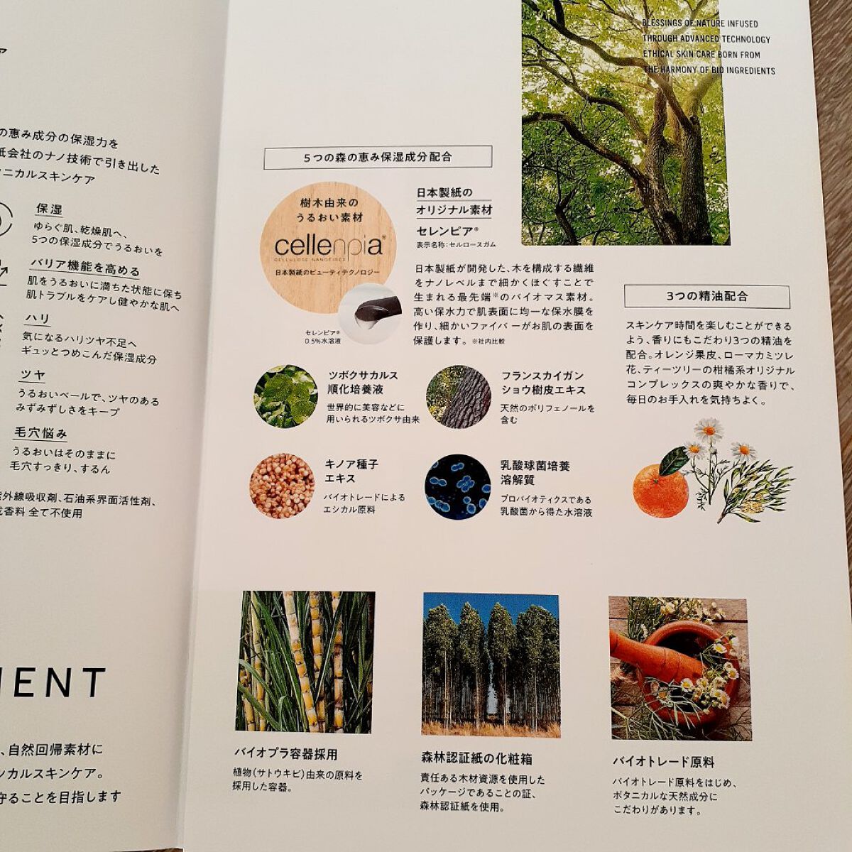 ナノエマルションローション/BIOFEAT. /化粧水を使ったクチコミ(8枚目)