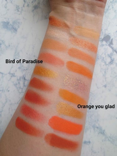 bird of Paradise/ColourPop/アイシャドウパレットを使ったクチコミ（3枚目）