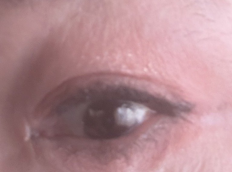 カラーパターンパレット/i’m meme/マルチパレットを使ったクチコミ（2枚目）