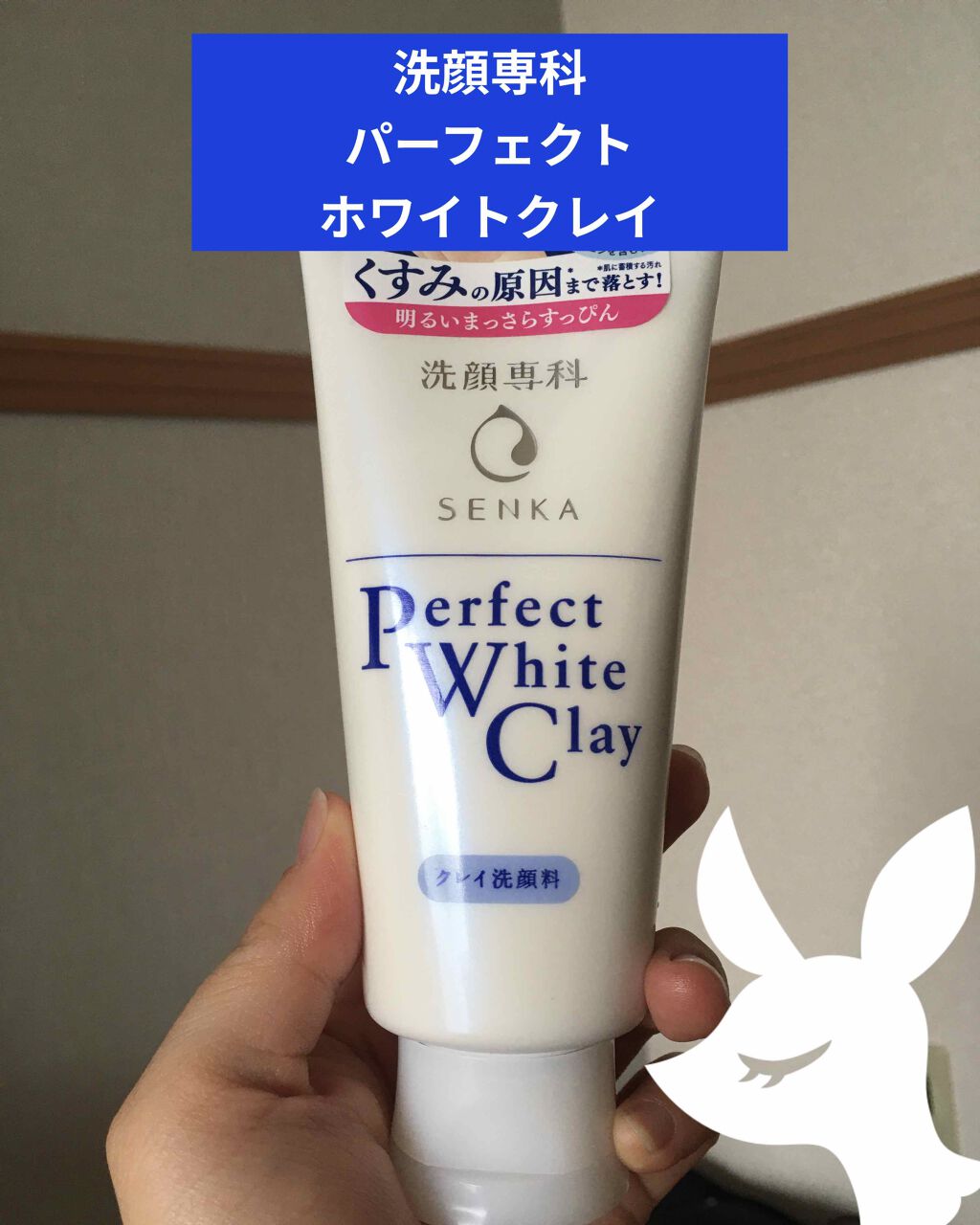 パーフェクトホワイトクレイ/SENKA(専科)/洗顔フォームを使ったクチコミ(1枚目)