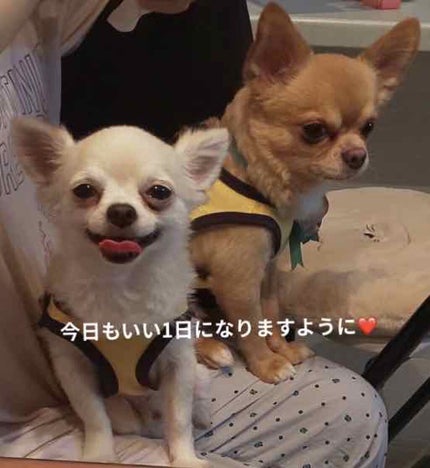 グロス・アンテルディ/GIVENCHY/リップグロスを使ったクチコミ(4枚目)