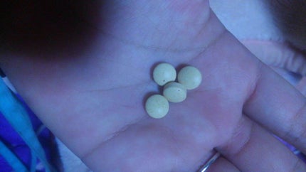 燃やさナイト/燃やさナイト/ボディサプリメントを使ったクチコミ(4枚目)