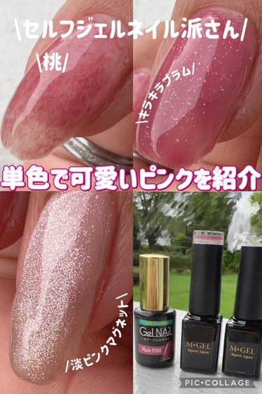 M✸GEL C791 Wine Boa