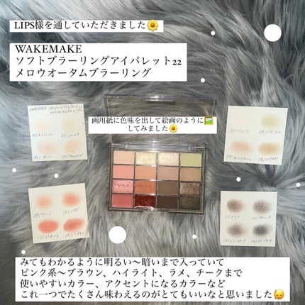 ソフトブラーリングアイパレット/wakemake/アイシャドウパレットを使ったクチコミ(2枚目)