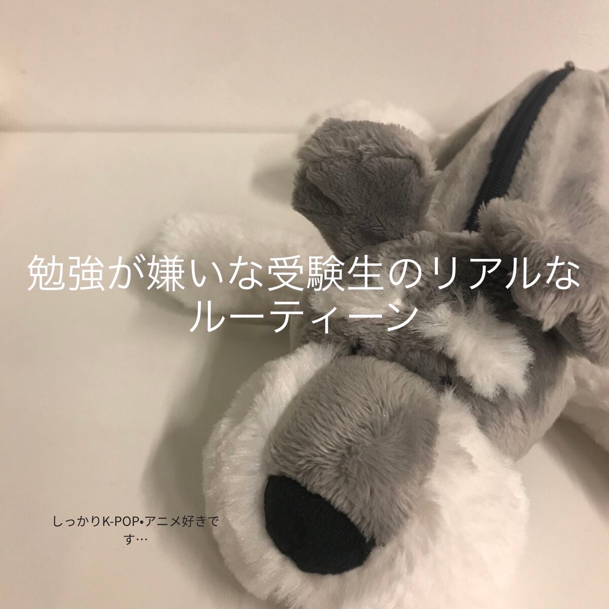 DHC ビタミンCハードカプセル/DHC/美容サプリメントを使ったクチコミ(1枚目)