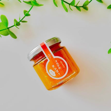 かなみ@フォロバ on LIPS 「コエタスさんのモニターキャンペーンでいただいた【無添加鹿児島県..」(8枚目)