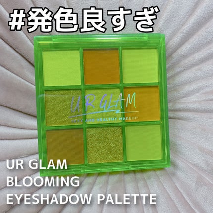 UR GLAM BLOOMING EYE COLOR PALETTE/U R GLAM/アイシャドウパレットを使ったクチコミ(1枚目)