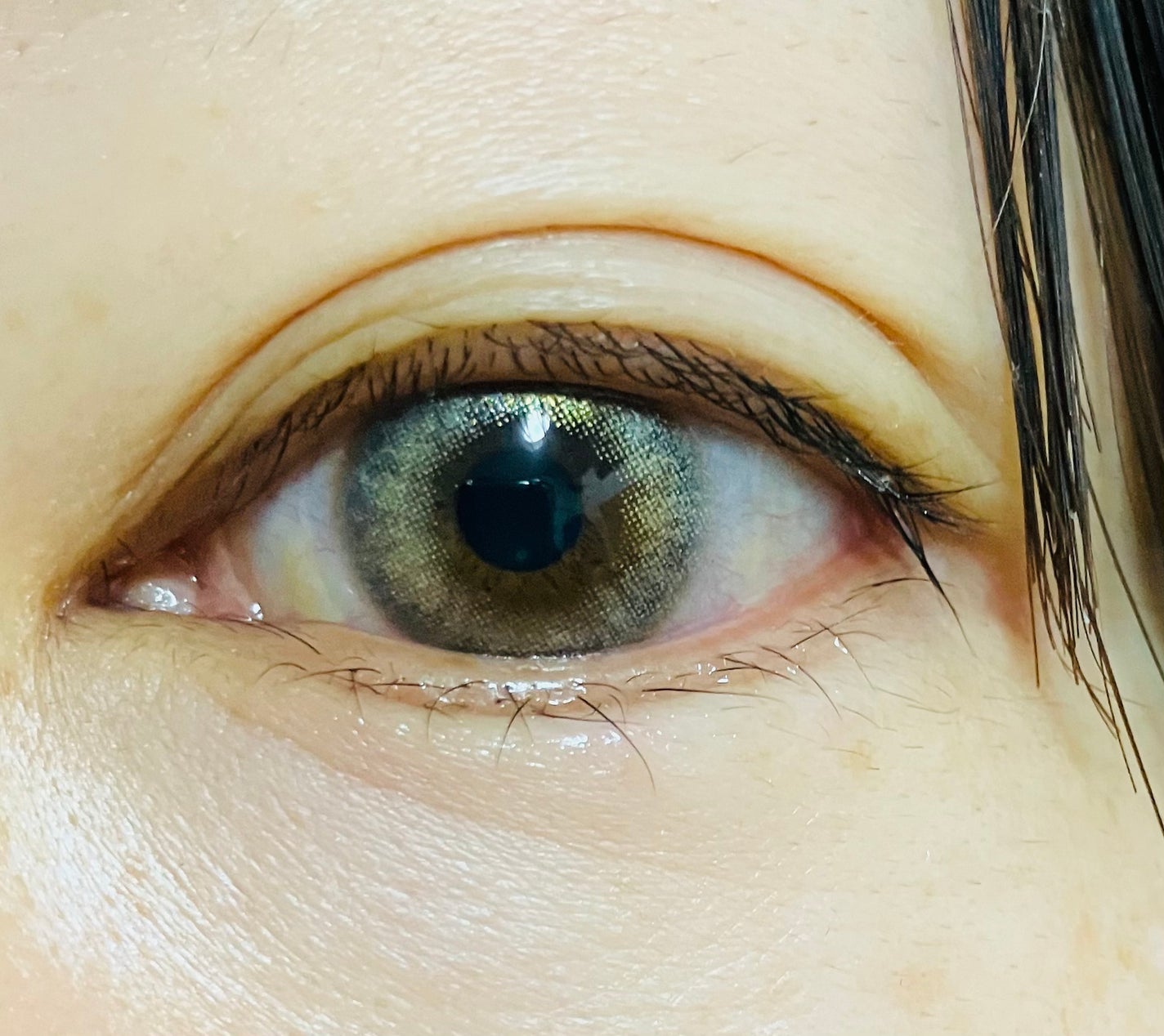 フェアリー ワンデー シマーリングシリーズ/FAIRY/ワンデー(1DAY)カラコンを使ったクチコミ(4枚目)