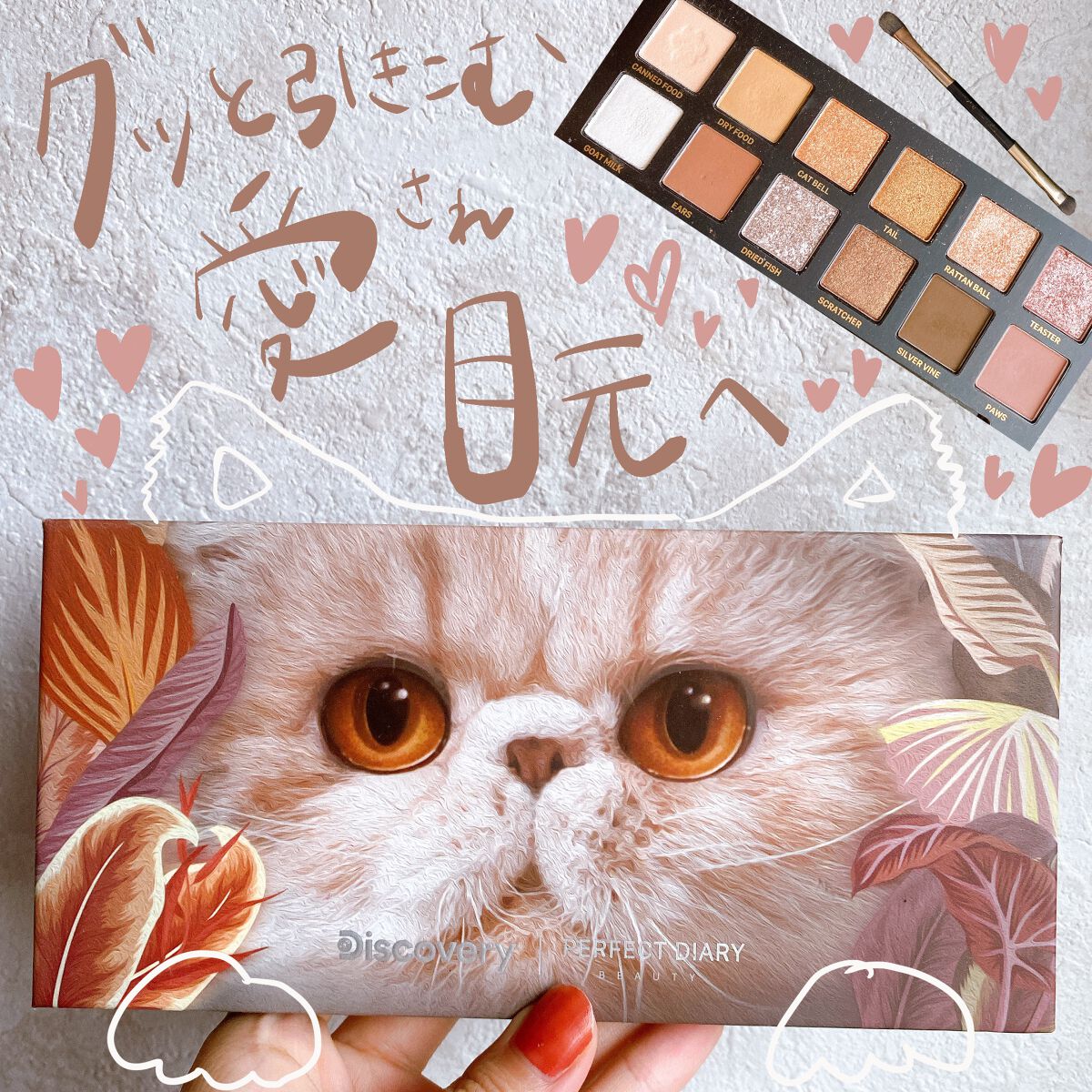 エクスプローラ12色 動物アイシャドウパレット/PERFECT DIARY/アイシャドウパレットを使ったクチコミ(1枚目)