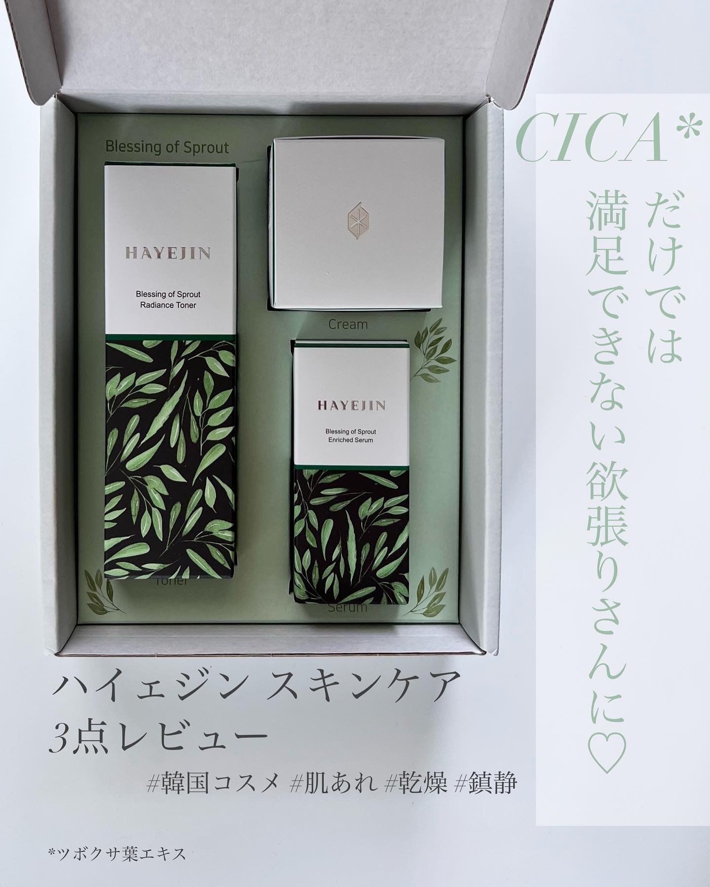 ブレッシングオブスプラウトラディアンストナー/HAYEJIN/化粧水を使ったクチコミ（1枚目）