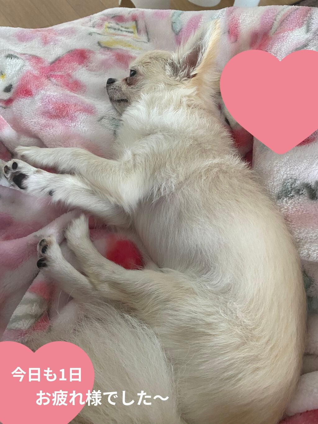 ミノン全身シャンプー(泡タイプ)/ミノン/ボディソープを使ったクチコミ(4枚目)