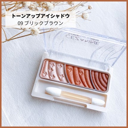 トーンアップアイシャドウ/CEZANNE/アイシャドウパレットを使ったクチコミ(2枚目)