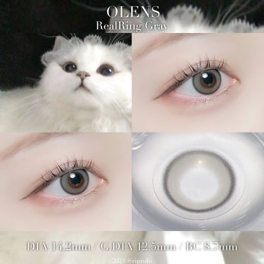 Real Ring 1day グレー/OLENS/ワンデー（１DAY）カラコンを使ったクチコミ（1枚目）