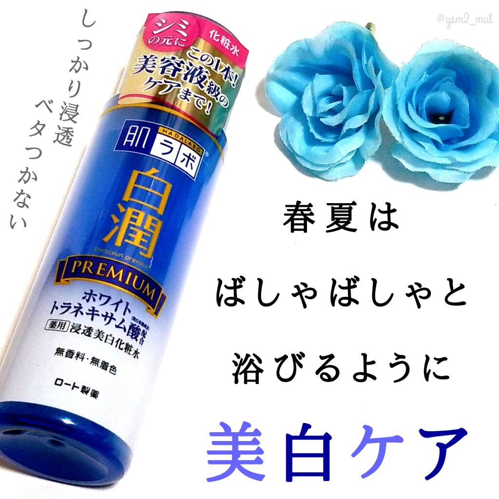 白潤プレミアム 薬用浸透美白化粧水/肌ラボ/化粧水を使ったクチコミ（1枚目）