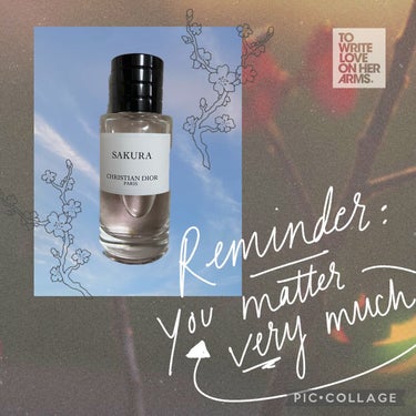 メゾン クリスチャン ディオール サクラ/Dior/香水(レディース)を使ったクチコミ（1枚目）