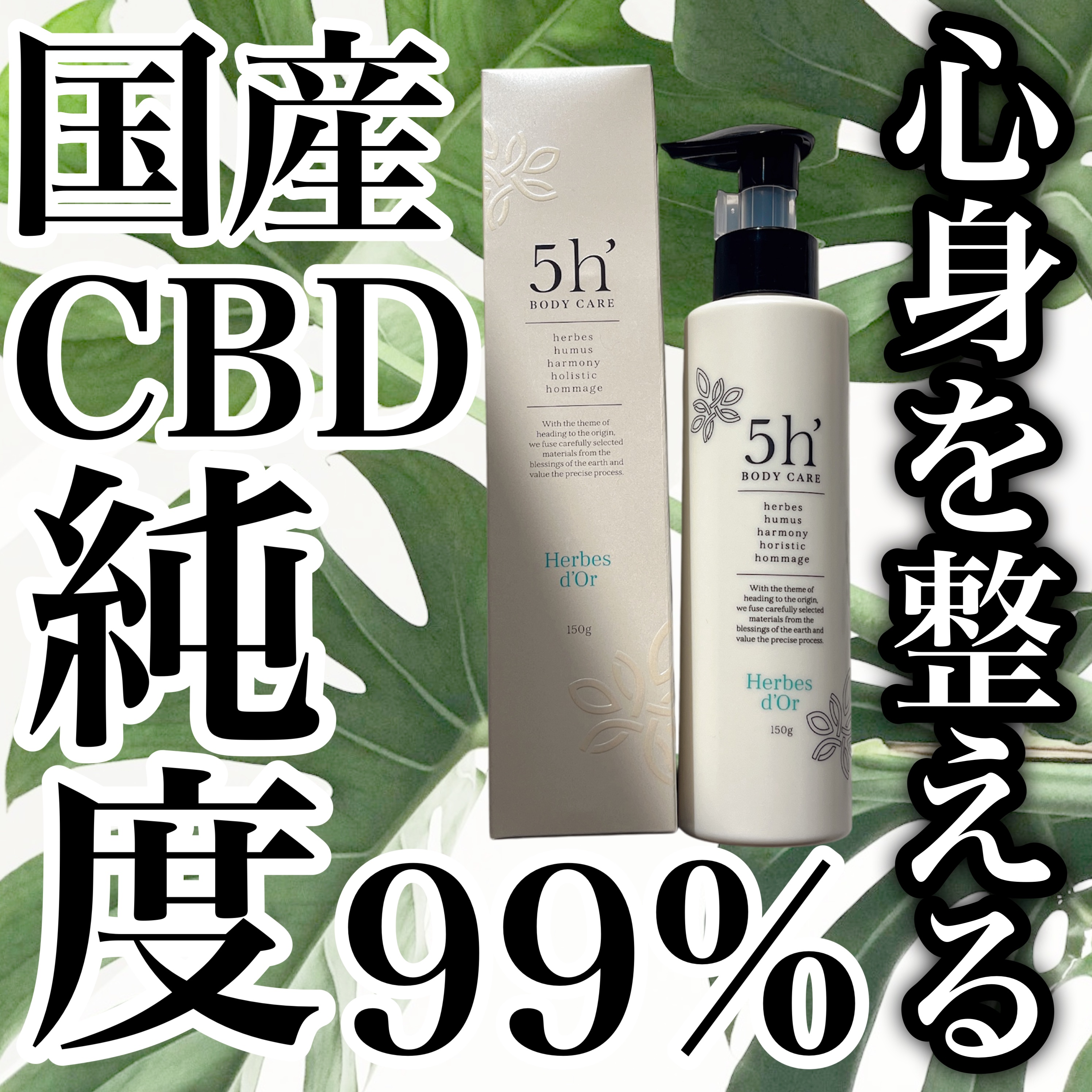 ５ｈ’サンクアッシュ/ATSEL/ボディクリームを使ったクチコミ（1枚目）