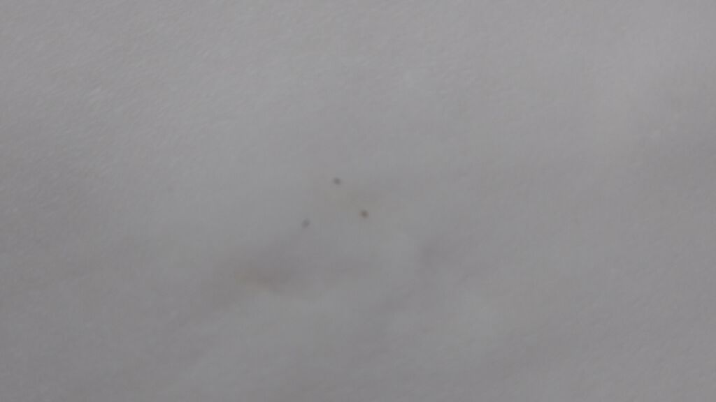 ティーツリーケア ソリューション エッセンシャルマスクEX/MEDIHEAL/シートマスク・パックを使ったクチコミ(2枚目)