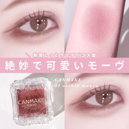 カバーパーフェクション チップコンシーラー/the SAEM/リキッドコンシーラーを使ったクチコミ(1枚目)