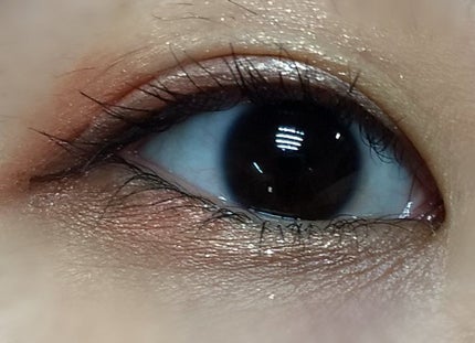 ショコラスウィート アイズ/リンメル ロンドン/アイシャドウパレットを使ったクチコミ(4枚目)