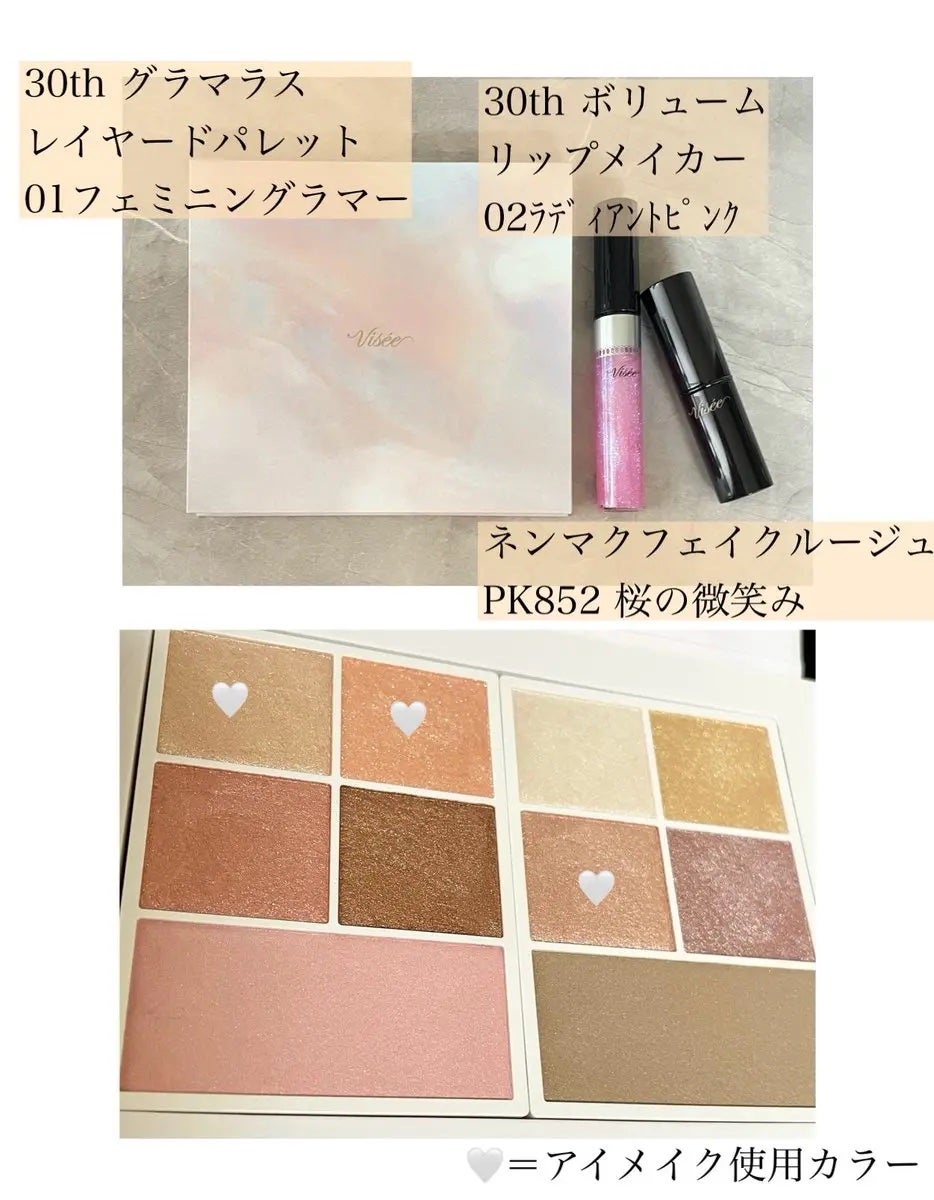 ネンマクフェイク ルージュ/Visée/口紅を使ったクチコミ(1枚目)