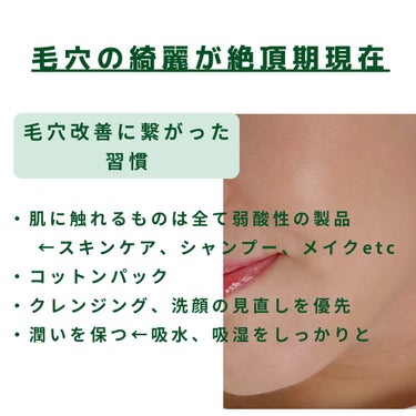 美肌カウンセラー💆綺麗のお助け相談所 on LIPS 「肌を綺麗にする専門家💆美肌カウンセラーおすすめ＼毛穴の悩みは改..」（3枚目）