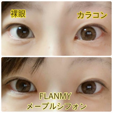 FLANMY 1day（10枚/30枚）/FLANMY/ワンデー（１DAY）カラコンを使ったクチコミ（3枚目）