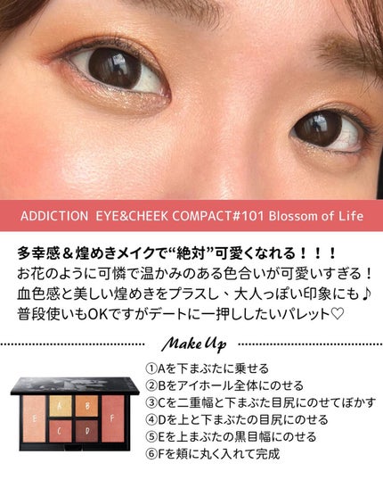 アイ & チーク コンパクトアディクション “ストーリー オブ ライフ”/ADDICTION/アイシャドウパレットを使ったクチコミ(6枚目)