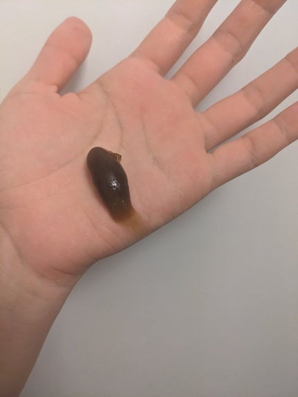 直ヌリジェル石けん/デオナチュレ/ボディソープを使ったクチコミ(5枚目)