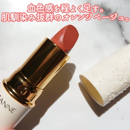 ラスティング リップカラーN/CEZANNE/口紅を使ったクチコミ(2枚目)