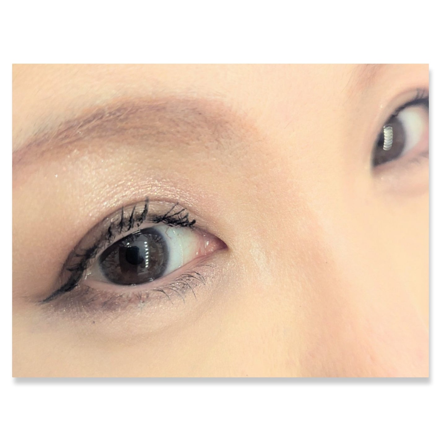 ワンダー スウィート アイシャドウ/リンメル ロンドン/アイシャドウパレットを使ったクチコミ(2枚目)