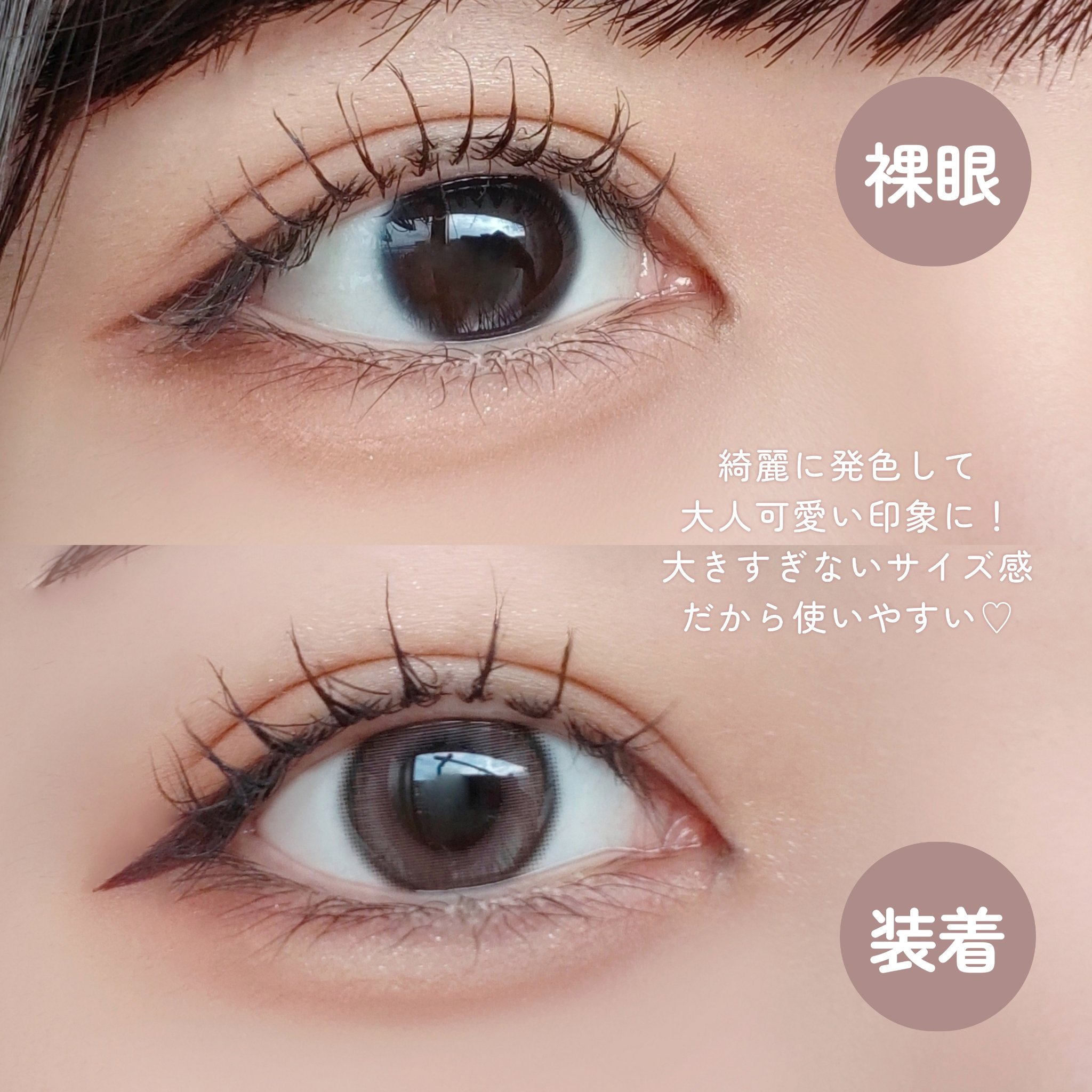 エバーカラーワンデーナチュラル モイストレーベルUV ローズミューズ/エバーカラー/ワンデー（１DAY）カラコンを使ったクチコミ（3枚目）