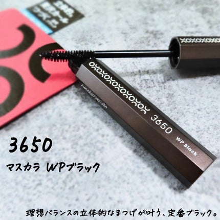 マスカラ WP/3650/マスカラを使ったクチコミ(1枚目)