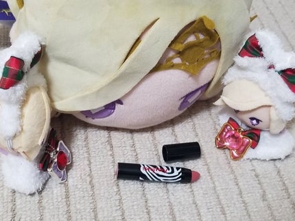 フィト リップ ツイスト/シスレー/口紅を使ったクチコミ(4枚目)