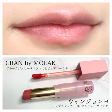 mikan on LIPS 「💄今日のメイク💄出社day⁡昨日に引き続きウォンジョンヨのリッ..」（5枚目）