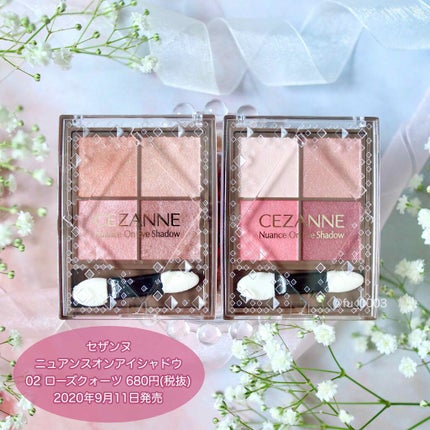 ニュアンスオンアイシャドウ/CEZANNE/アイシャドウパレットを使ったクチコミ(3枚目)