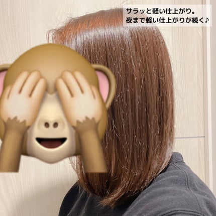 モイストソフナー 01ベーシックスカルプ/Sorule/市販シャンプーを使ったクチコミ(5枚目)