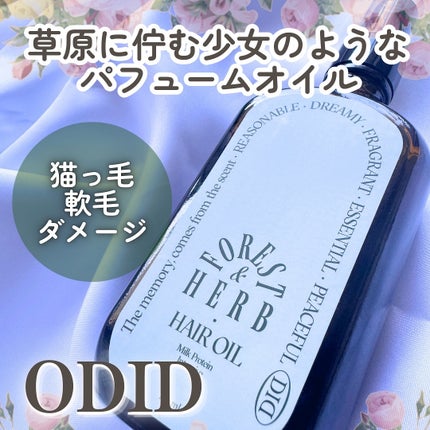 ミルクプロテインインテンシブヘアオイル/odiD/ヘアオイルを使ったクチコミ(1枚目)