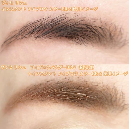 ヴィセ リシェ アイブロウパウダー/Visée/パウダーアイブロウを使ったクチコミ(5枚目)