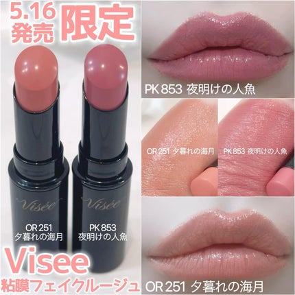 エッセンス リッププランパー/Visée/リッププランパーを使ったクチコミ(1枚目)