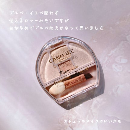 プランぷくコーデアイズ/キャンメイク/パウダーアイシャドウを使ったクチコミ(5枚目)