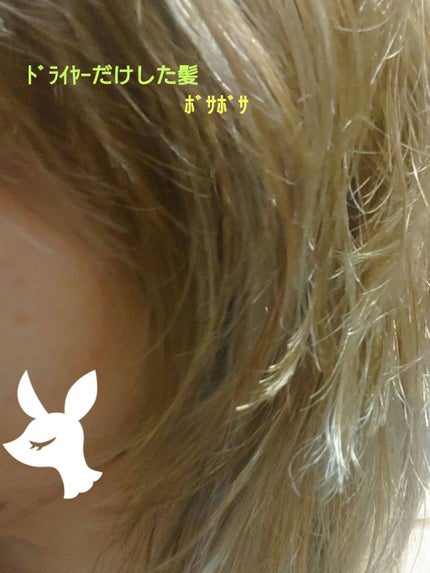 コンパクトスタイラー/TANGLE TEEZER/ヘアブラシを使ったクチコミ(4枚目)