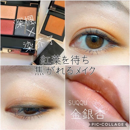 デザイニング カラー アイズ/SUQQU/アイシャドウパレットを使ったクチコミ(8枚目)
