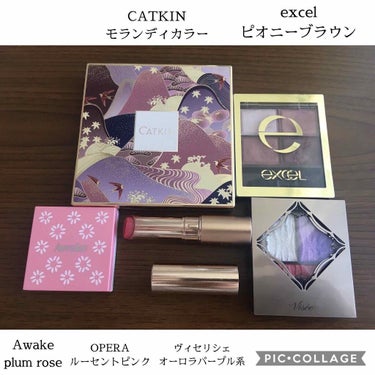 長相思シリーズ 9色アイシャドウパレット/CATKIN/アイシャドウパレットを使ったクチコミ（2枚目）