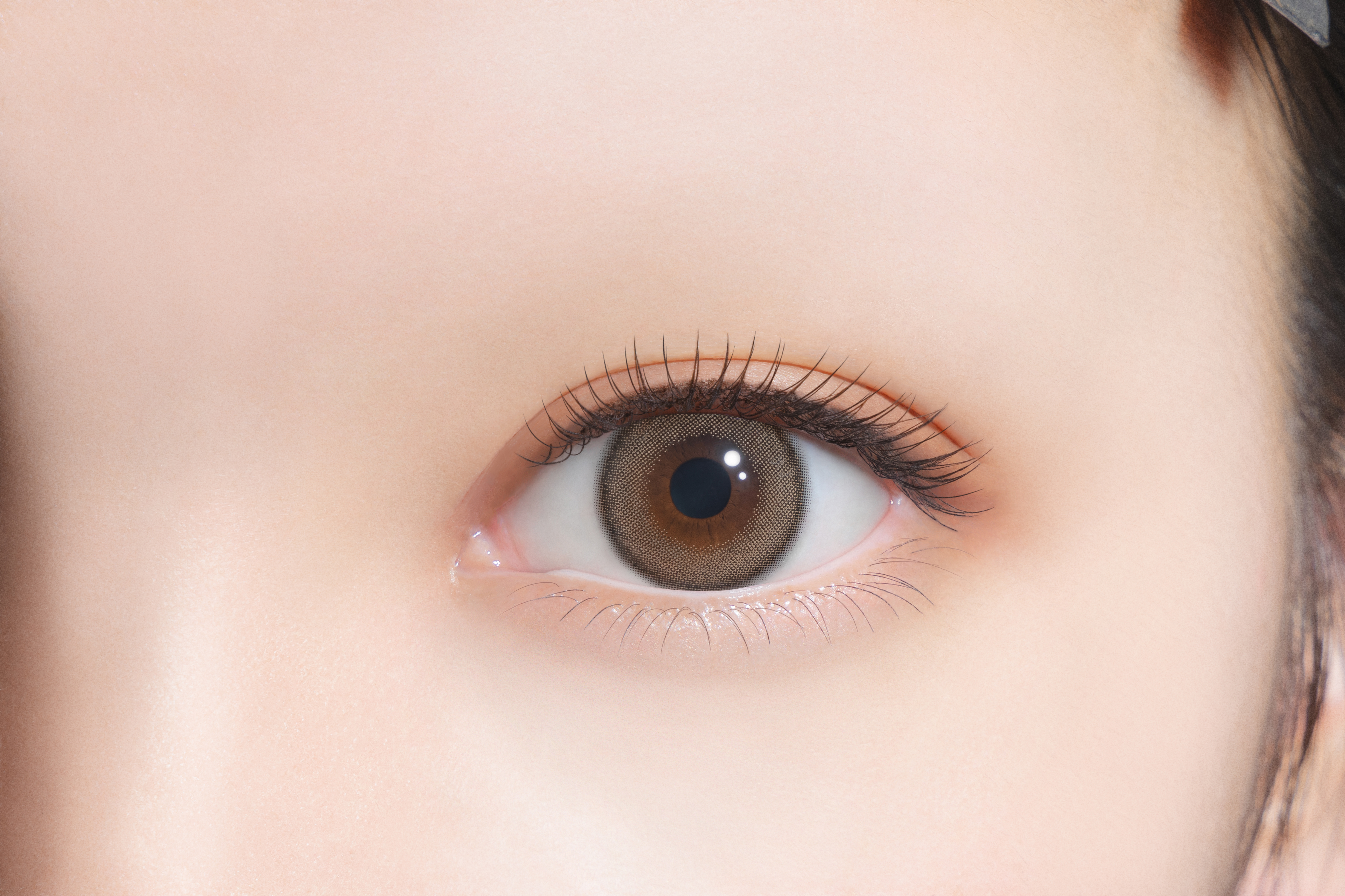 FALOOM 1DAY ブリュレブラウン