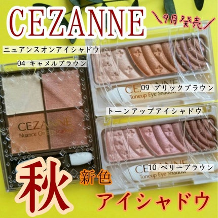トーンアップアイシャドウ/CEZANNE/アイシャドウパレットを使ったクチコミ(1枚目)